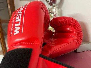Saco Boxeo Azul + Soporte Pared + Guantes