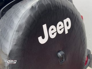 Jeep Wrangler Wrangler 3p Rubicon 2.0T 270 CV 8ATX