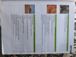 Historia del arte 2