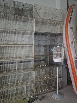 Lote Jaulas  Varias