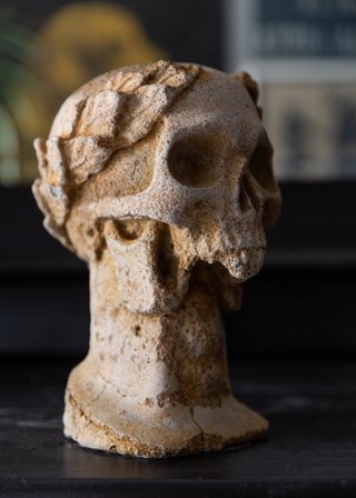 Busto Cráneo Laureado Vintage Memento Mori.