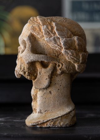 Busto Cráneo Laureado Vintage Memento Mori.