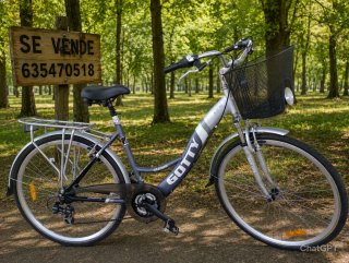 Bicicleta de Paseo Gotty Lista para Rodar