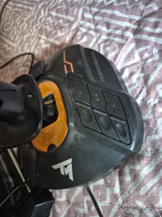 Thrustmaster Joystick y Acelerador