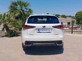 Lexus NX 2019