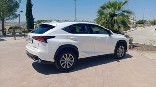 Lexus NX 2019
