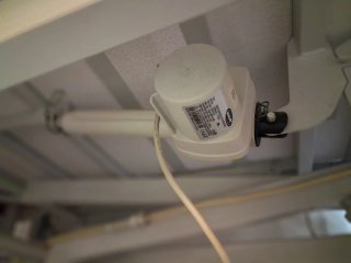Mando Cama Ortopédica