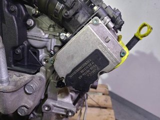 Ford rectp5034874 motor completo g8dd focus ii 1.6