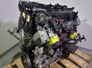 Ford rectp5034874 motor completo g8dd focus ii 1.6