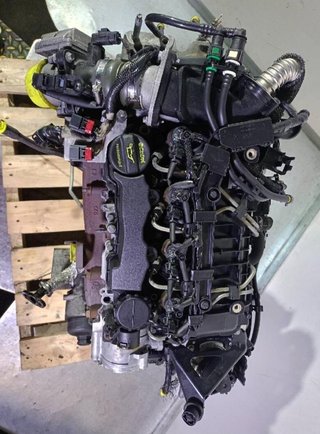 Ford rectp5034874 motor completo g8dd focus ii 1.6
