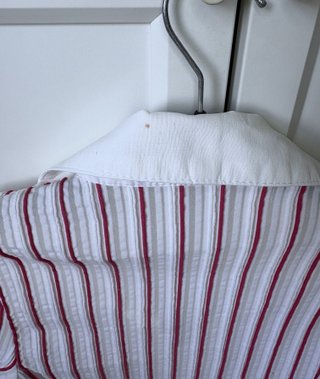 Camisa blanca con rayas rojas