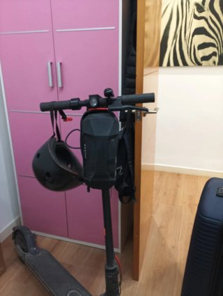 Patinete Eléctrico Ninebot Pro2