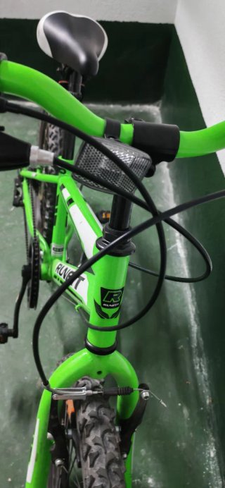 Bicicleta RUNFIT verde, 20 pulgadas