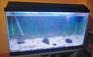 Acuario completo con decoración