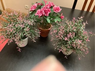 3 Plantas Artificiales Decorativas