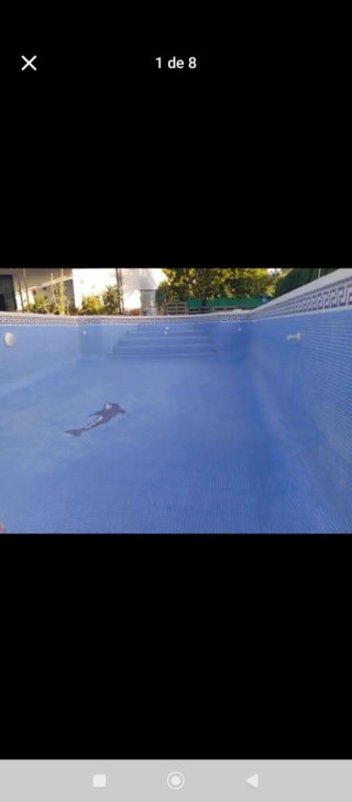 Recubrimiento para piscinas