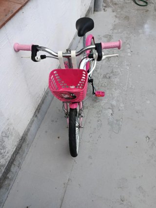 Bicicleta niña 16 pulgadas con ruedines