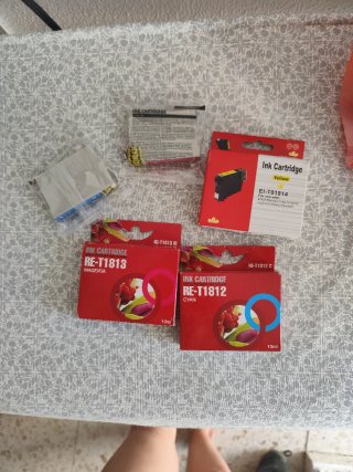 Cartuchos de tinta Epson RE-T1813, RE-T1812, EI-T0
