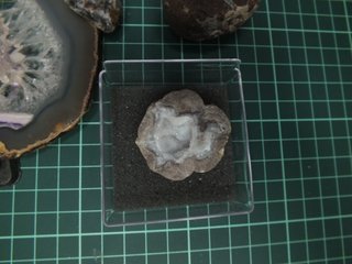 Collezione di minerali con vetrina espositiva
