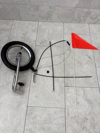 Remolque bici niño 2 en 1