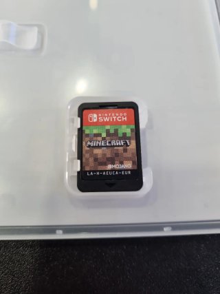 Minecraft Nintendo Switch