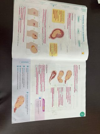 Coneixement del Medi, 6 Primària, Projecte Cons...