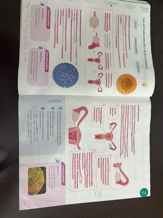 Coneixement del Medi, 6 Primària, Projecte Cons...