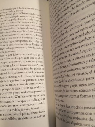 En torno a Paris, Texas de Wim Wenders