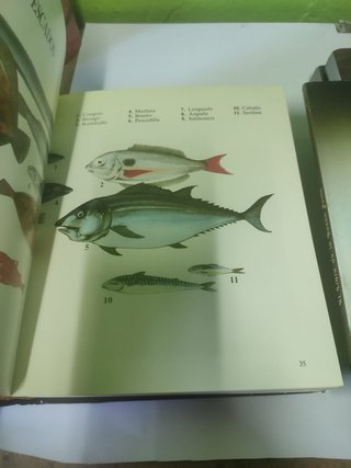 Libros