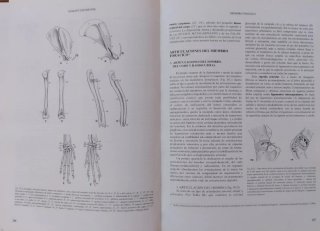 Tratado de anatomía veterinaria aparato locomotor