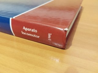 Tratado de anatomía veterinaria aparato locomotor