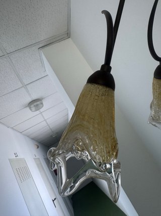 Elegante lámpara de techo tulipas cristal