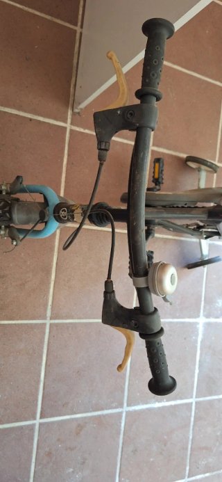 Bicicleta infantil con ruedines