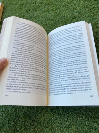 Cometas en el cielo/ The Kite Runner