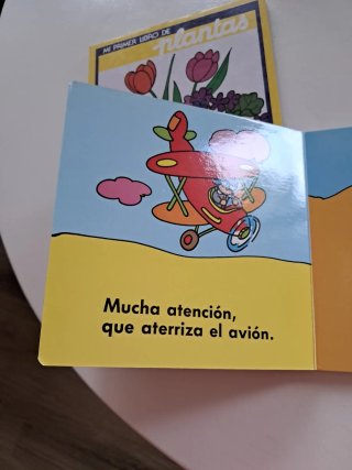 Lote primeros libros