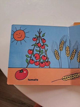 Lote primeros libros