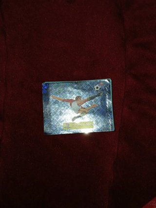 Carta Panini Mundial Exclusiva