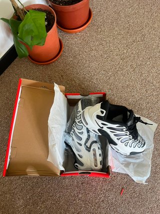 Nike Air Max Plus TN Supreme Talla 38