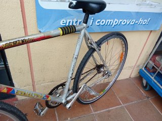 Bicicleta