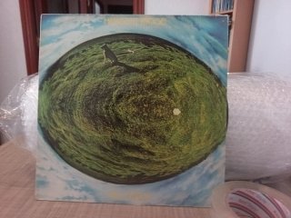 Disco Vinilo Hergest Ridge