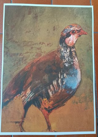 Láminas caza:ciervo,halcón, perdiz,urogallo,liebre