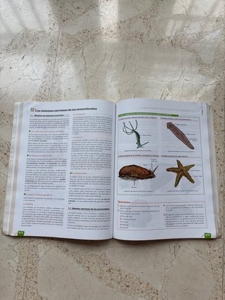 Biología y geología, Bachillerato 1 Aprender es...