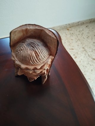 Talla Cristo Madera Olivo