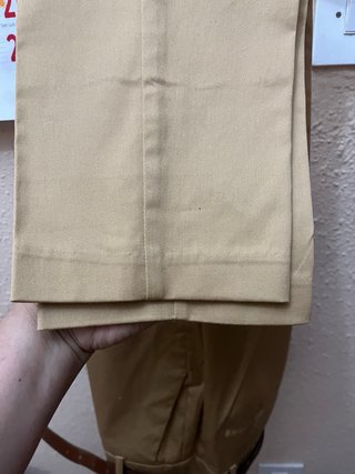 Pantalón de vestir beis dorado