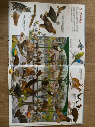Busca los animales del zoo