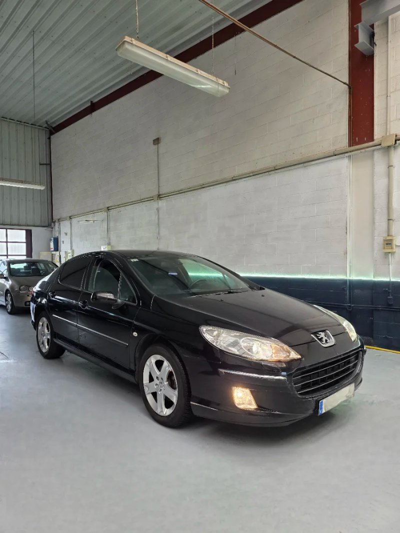 Peugeot 407 2008 - foto 1