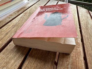 Libro La plaça del Diamant