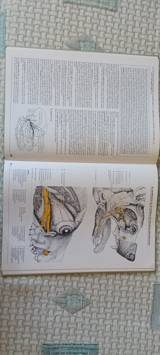 Atlas de anatomía del perro - libro-atlas para ...