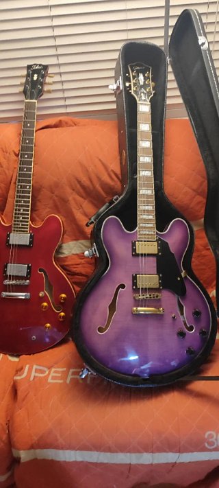 Estuche Rígido Tipo Gibson 335 muy liviano