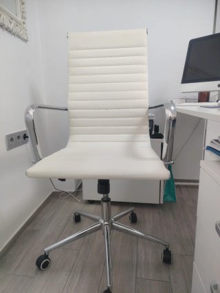 Silla de oficina plateada y blanca
